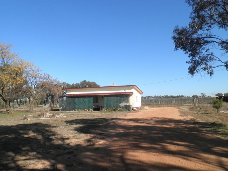 859 Woorinen Road, Vinifera VIC 3591