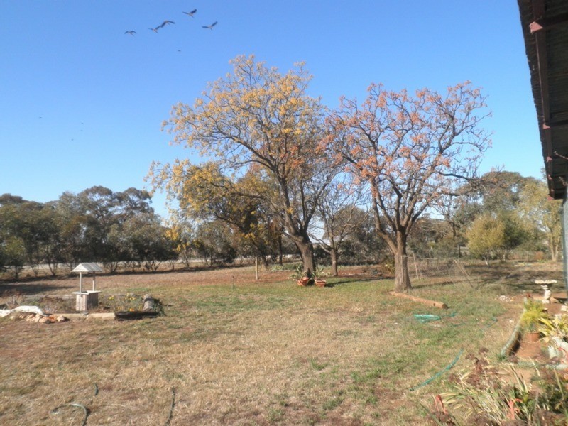 859 Woorinen Road, Vinifera VIC 3591