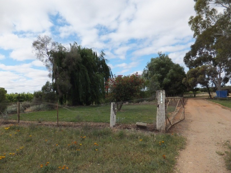 2526 Murray Valley Highway, Vinifera VIC 3591