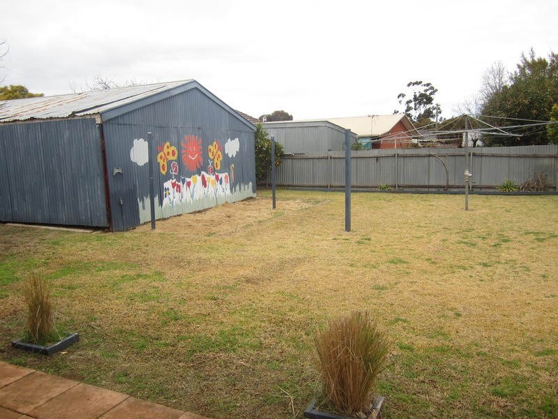 33 Wattie Street, Swan Hill VIC 3585