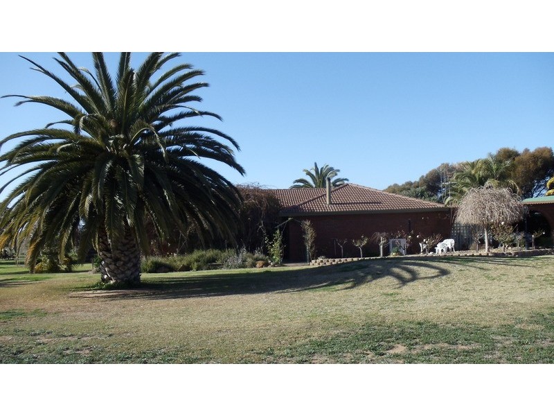 79 Mc Lean Lane, Vinifera VIC 3591