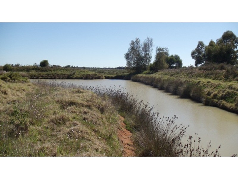 4462B Murray Valley Highway, Lake Boga VIC 3584