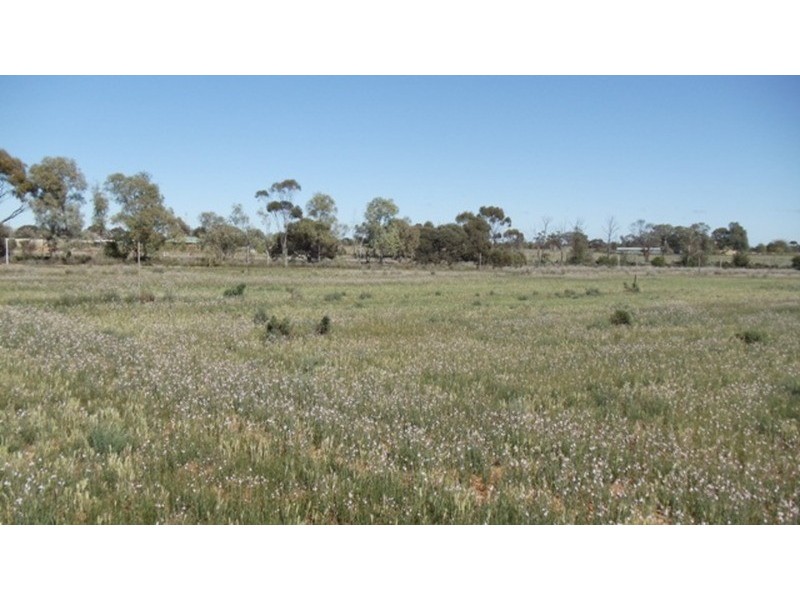 4462B Murray Valley Highway, Lake Boga VIC 3584