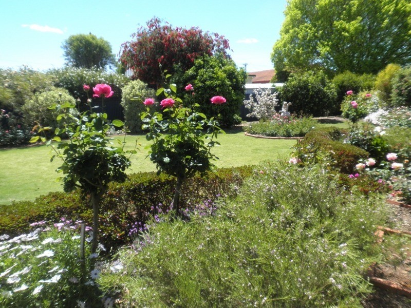 6 Wilkins Grove, Swan Hill VIC 3585
