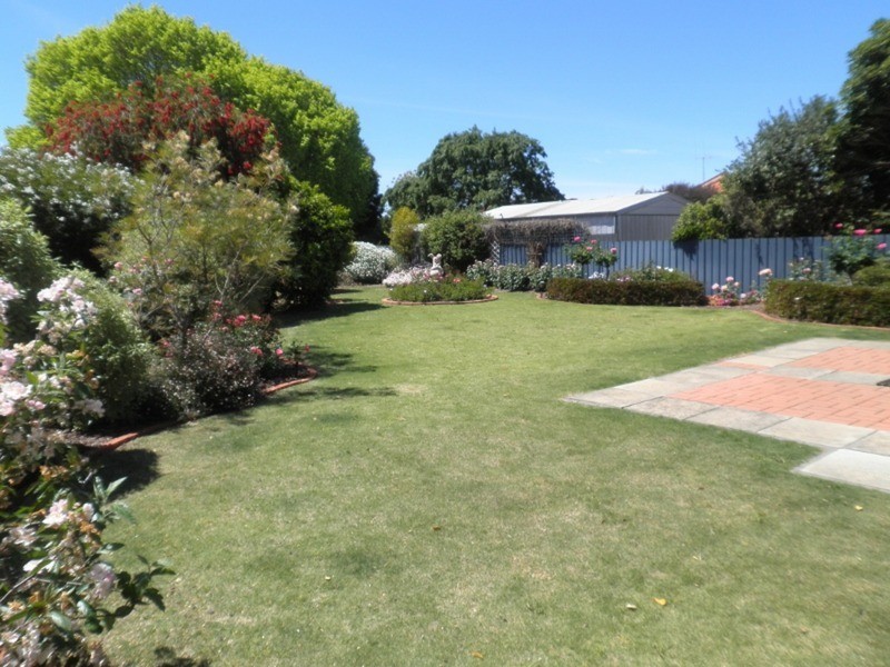 6 Wilkins Grove, Swan Hill VIC 3585