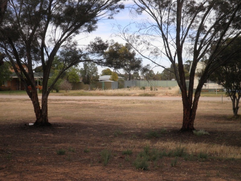 2 Willakool Drive, Lake Boga VIC 3584