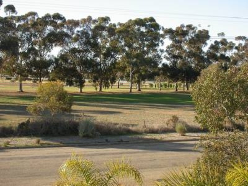 39 Wattie Street, Swan Hill VIC 3585