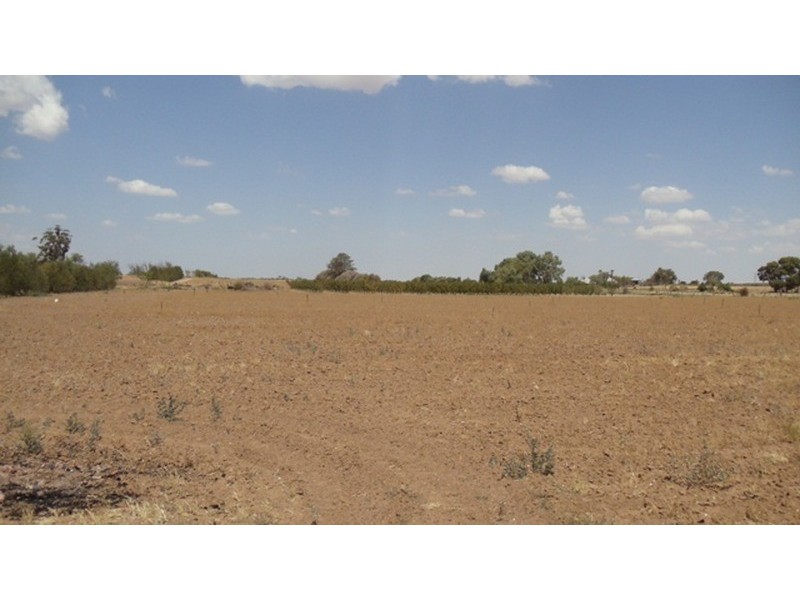 215 Hobson Road, Nyah West VIC 3595