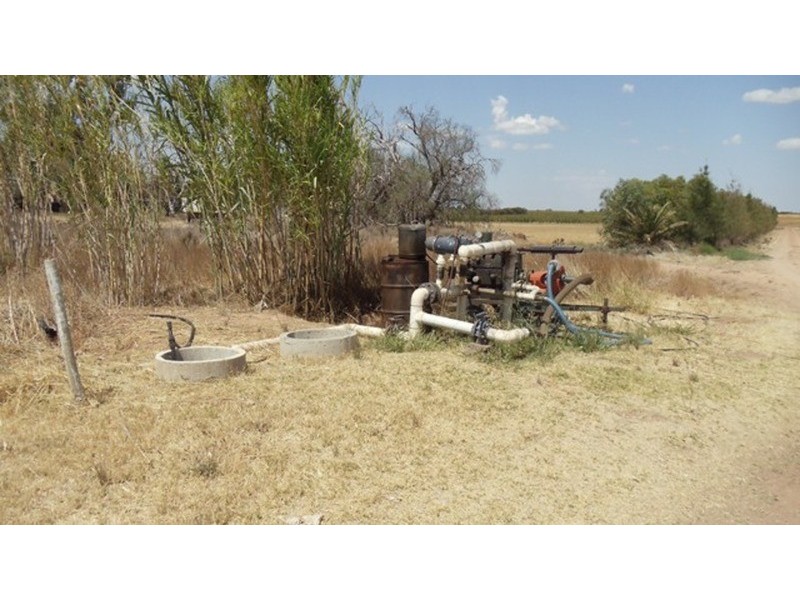 215 Hobson Road, Nyah West VIC 3595