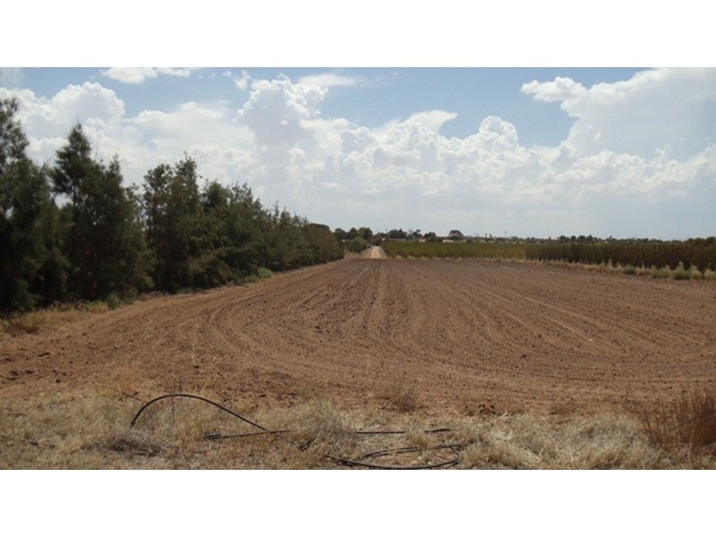 215 Hobson Road, Nyah West VIC 3595