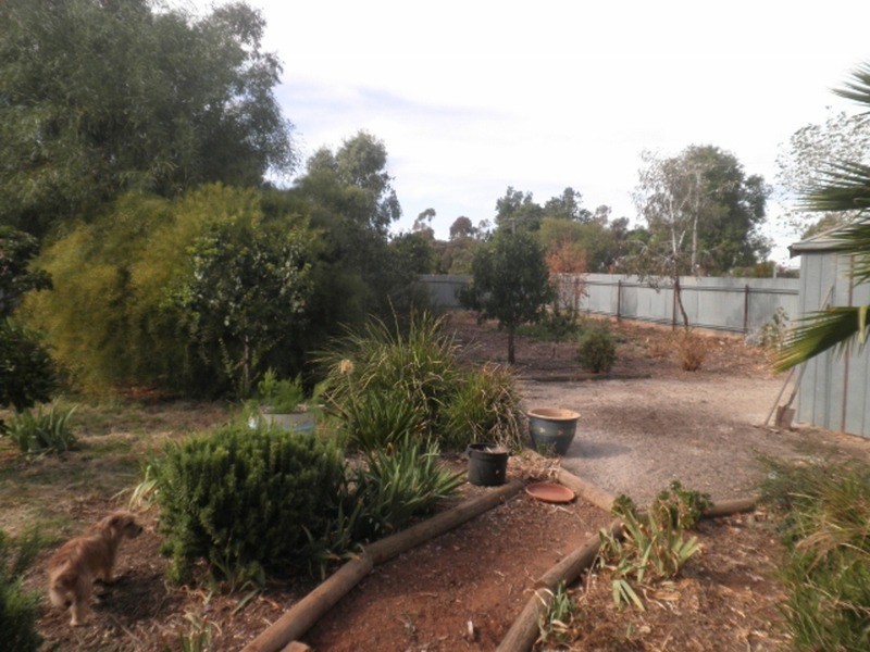 11 Lalbert Road, Lake Boga VIC 3584