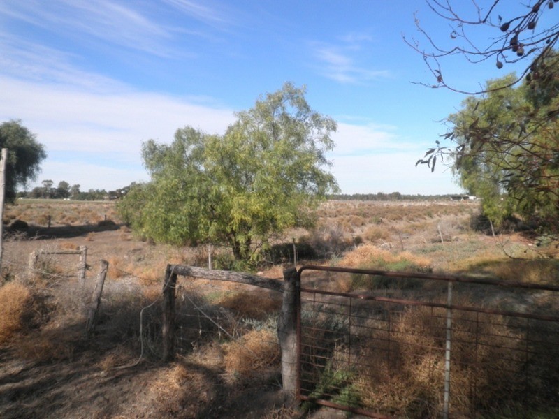 31 Woodgate Road, Swan Hill VIC 3585