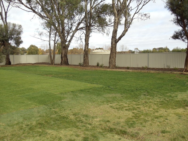 16 Williams Road, Swan Hill VIC 3585