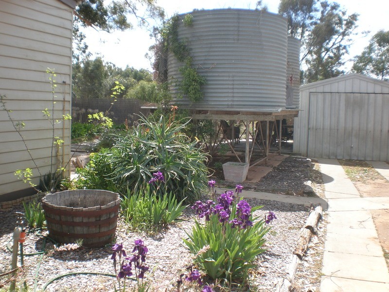 2298 Murray Valley Highway, Vinifera VIC 3591