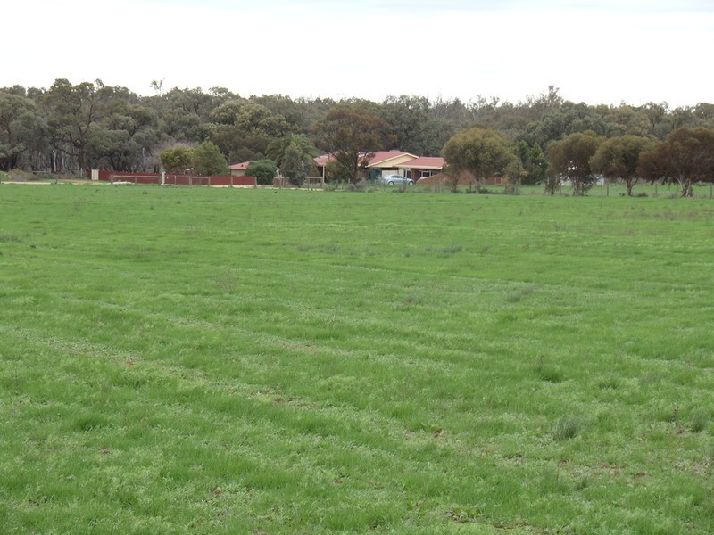 3026 Murray Valley Highway, Nyah VIC 3594