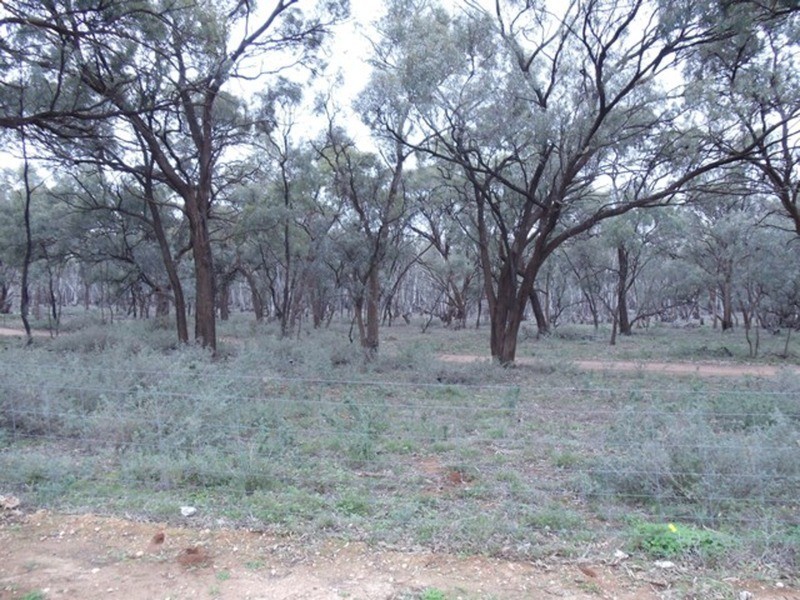 3026 Murray Valley Highway, Nyah VIC 3594