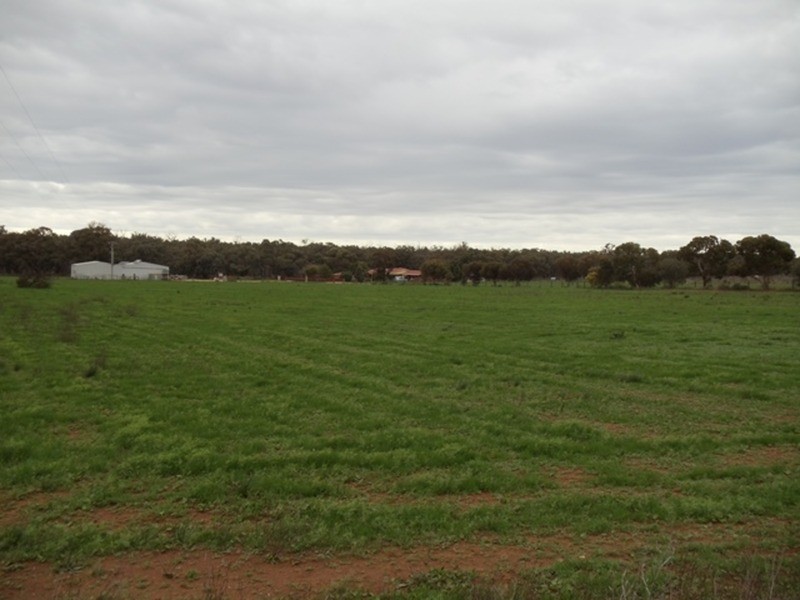 3026 Murray Valley Highway, Nyah VIC 3594