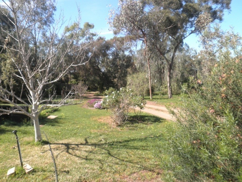 29 Hayes Road, Lake Boga VIC 3584