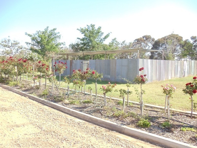 4462a Murray Valley Highway, Lake Boga VIC 3584