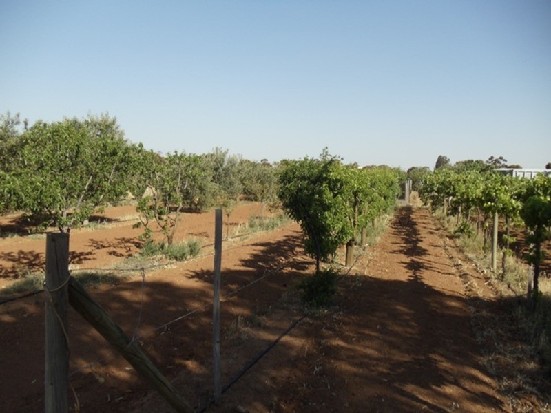 4462a Murray Valley Highway, Lake Boga VIC 3584