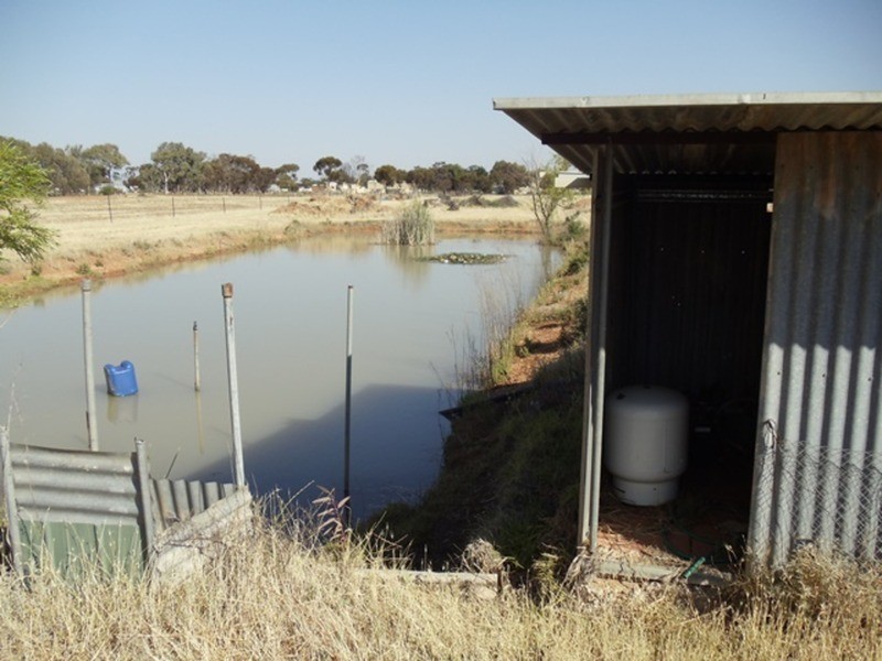 4462a Murray Valley Highway, Lake Boga VIC 3584