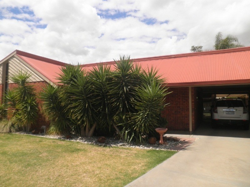 29 Wilkins Grove, Swan Hill VIC 3585