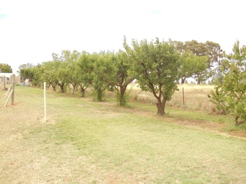 20 Jeans Lane, Nyah VIC 3594