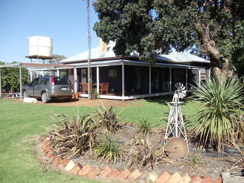 41 Wanera Lane, Goodnight NSW 2736