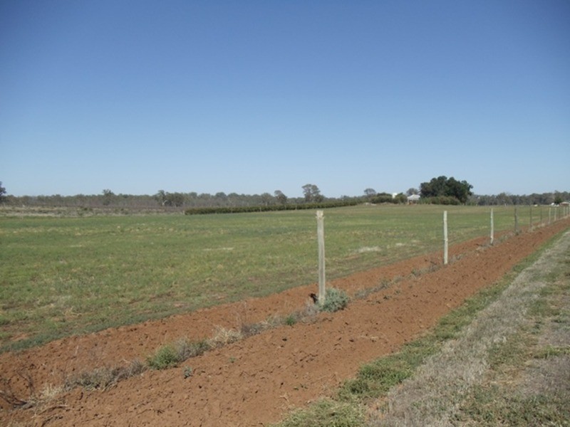 41 Wanera Lane, Goodnight NSW 2736