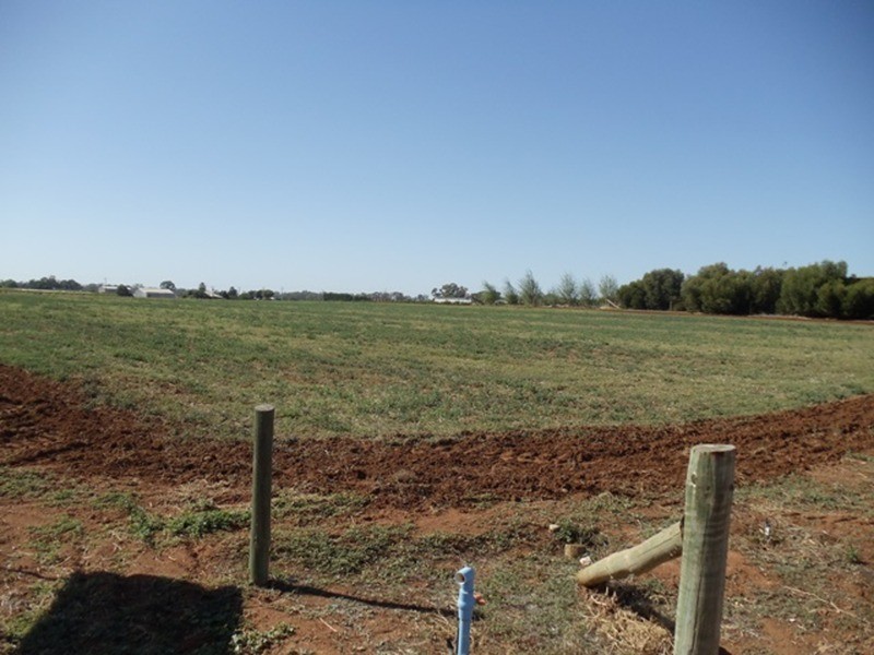 41 Wanera Lane, Goodnight NSW 2736