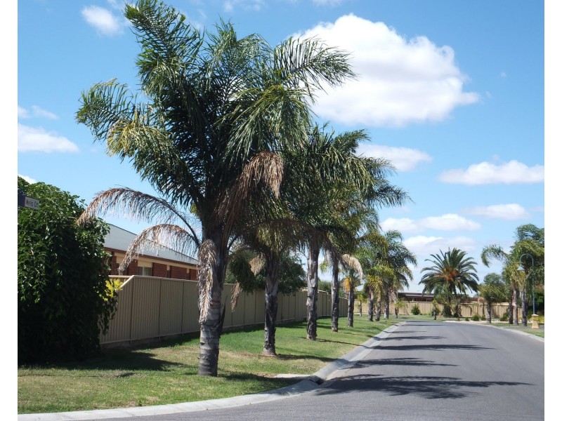 5/13 Melis Court, Swan Hill VIC 3585