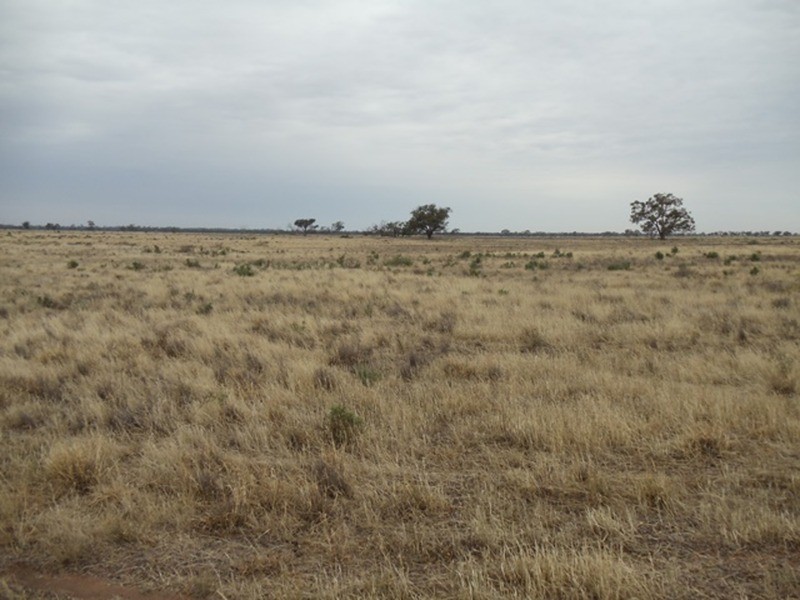 Lot 4 Fountain Road, Mellool NSW 2734