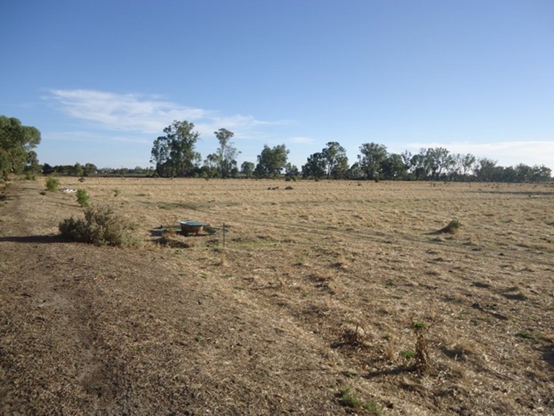 1411 Pental Island Road, Swan Hill VIC 3585