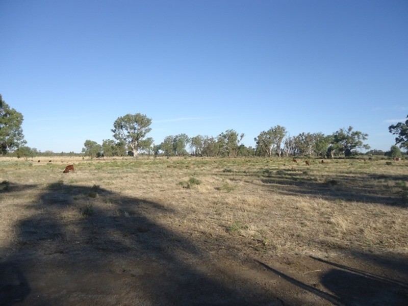 1411 Pental Island Road, Swan Hill VIC 3585