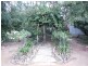 3 Etona Lane, Goodnight NSW 2736