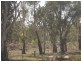 1047 Pental Island Road, Swan Hill VIC 3585