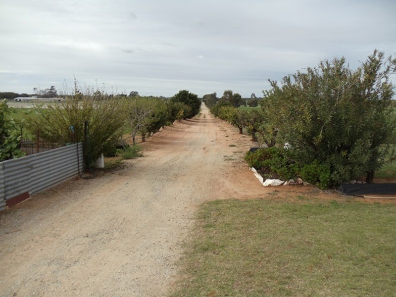 45 Jochinke Road, Lake Boga VIC 3584