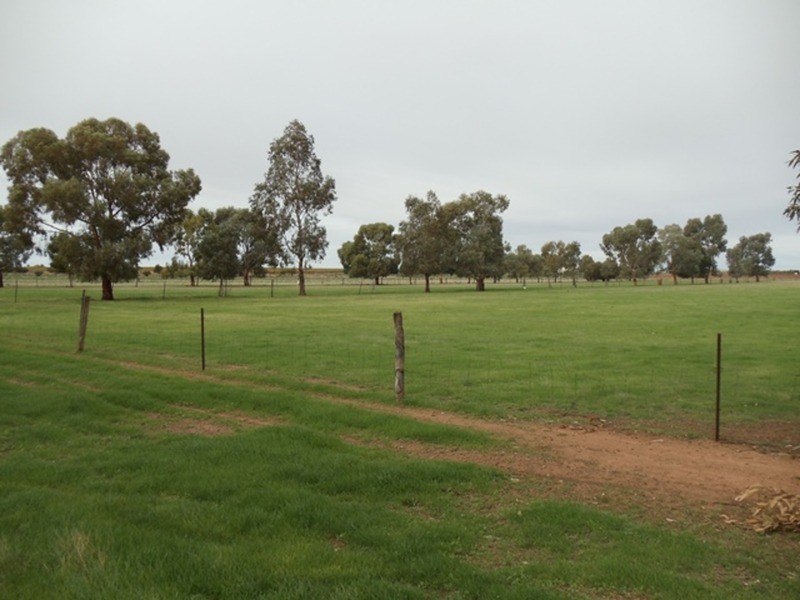 45 Jochinke Road, Lake Boga VIC 3584