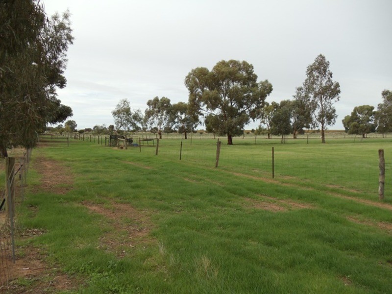 45 Jochinke Road, Lake Boga VIC 3584