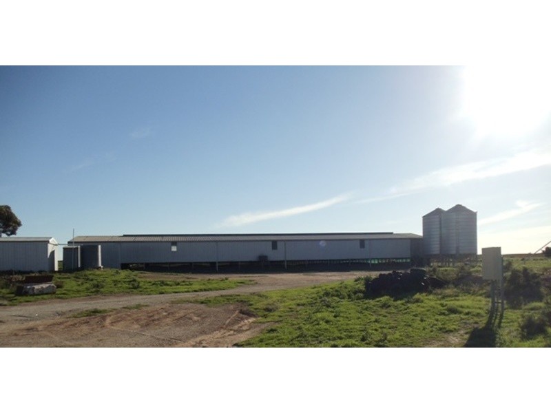 40 Roberts Lane, Lake Boga VIC 3584