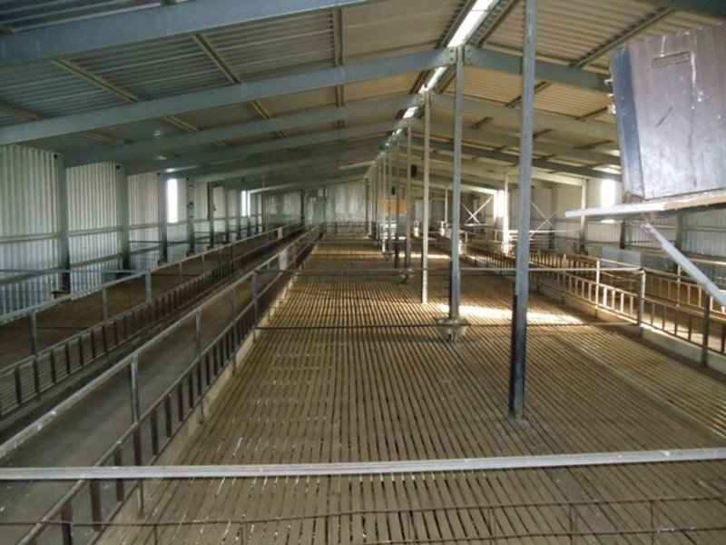 40 Roberts Lane, Lake Boga VIC 3584