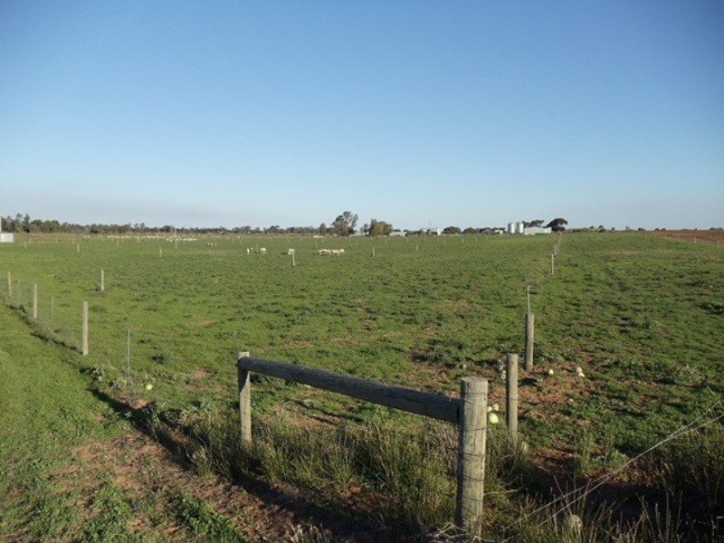 40 Roberts Lane, Lake Boga VIC 3584