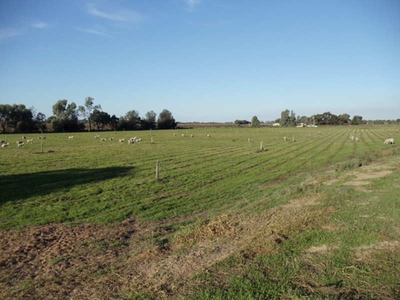 40 Roberts Lane, Lake Boga VIC 3584