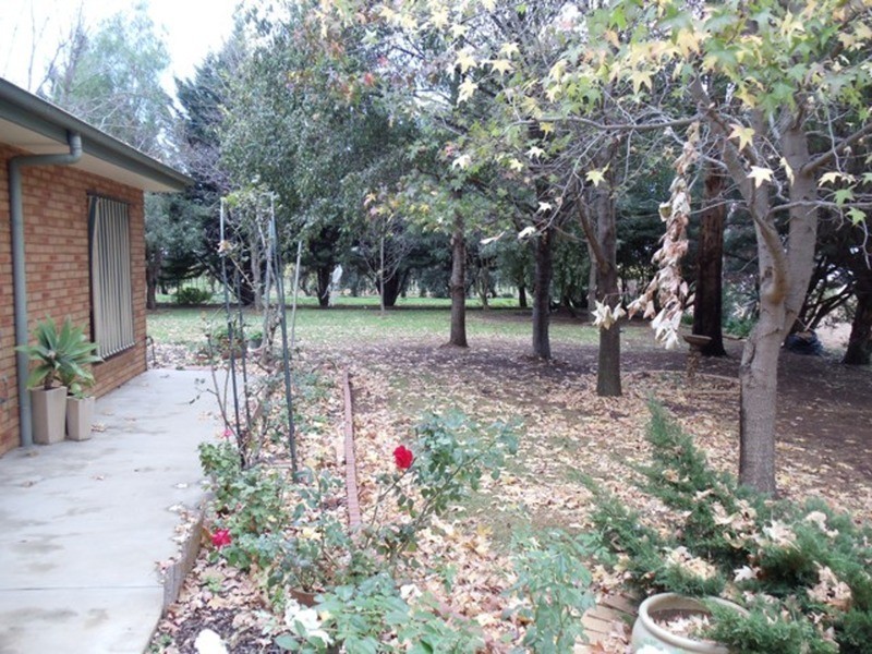 252-264 Murray Valley Highway, Lake Boga VIC 3584