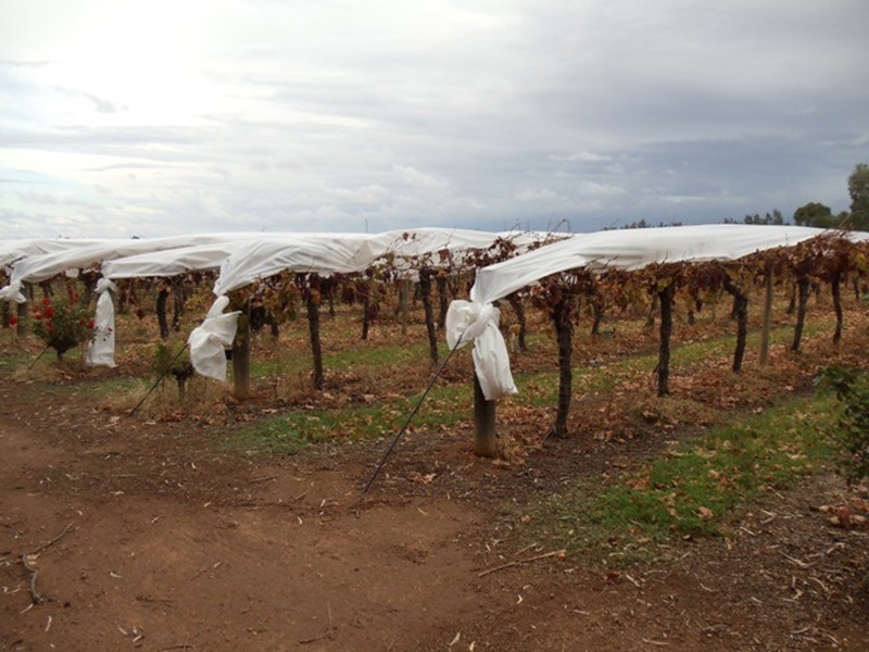 252-264 Murray Valley Highway, Lake Boga VIC 3584