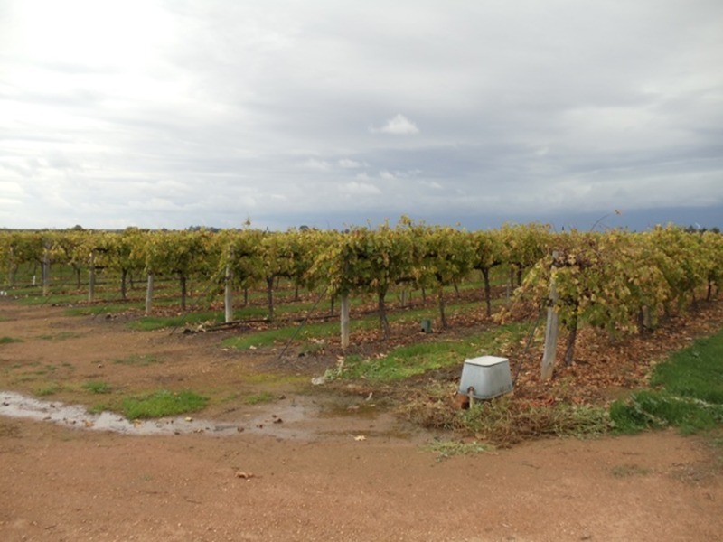 252-264 Murray Valley Highway, Lake Boga VIC 3584