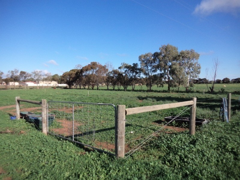 4462B Murray Valley Highway, Lake Boga VIC 3584