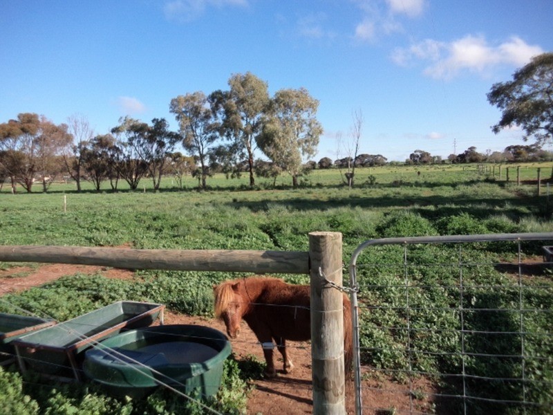 4462B Murray Valley Highway, Lake Boga VIC 3584