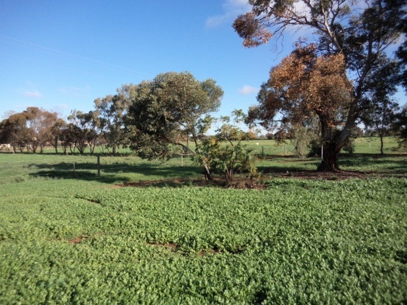 4462B Murray Valley Highway, Lake Boga VIC 3584