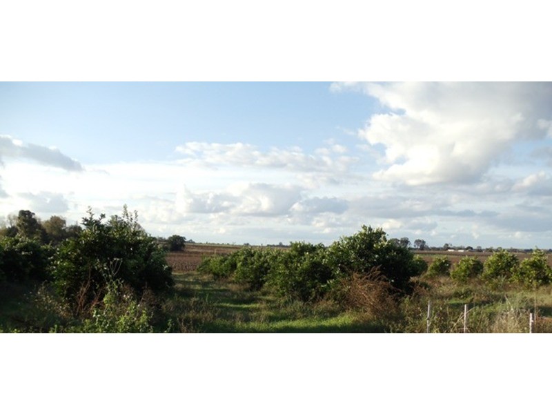 34a Lockhart Road, Goodnight NSW 2736